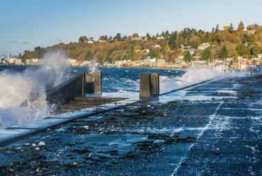 Güçlü Alki Dalgaları 4