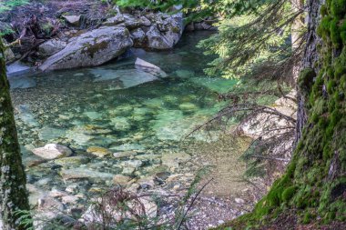 Nehir Havuzu Temizle