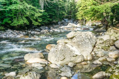 Rocky Creek 3 'ü temizle