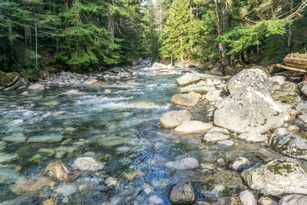 Rocky Creek 9 'u temizle