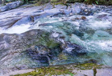 Creek Whitewater Arkaplanı 6