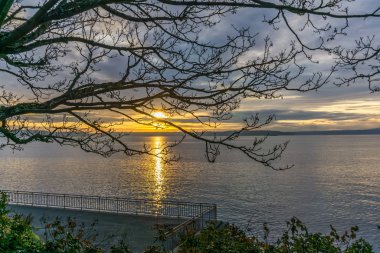 Ağaç ve Günbatımı 3