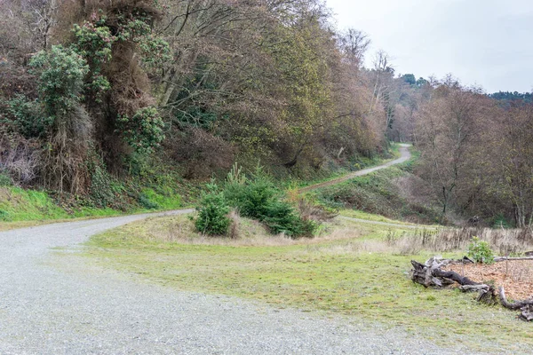 Parco dell'isola di Maury 3 — Foto Stock