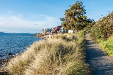 Rıhtım Yolu ve Çalılıklar 3