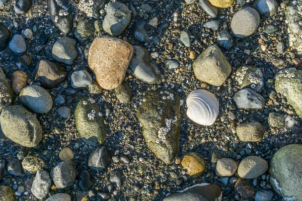 Fondo de rocas de la costa 2 — Foto de Stock