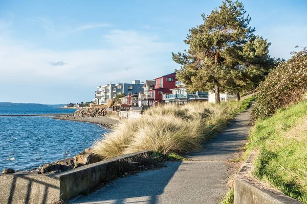 Passerella sul lungomare e cespugli — Foto Stock