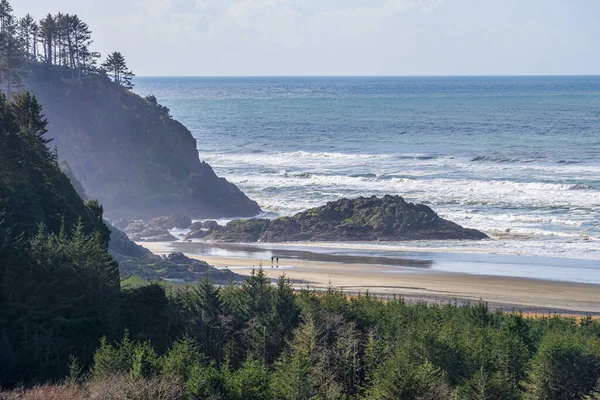 Een Landschapsopname Van Kustlijn Bij Cape Teleurstelling Washington State — Stockfoto