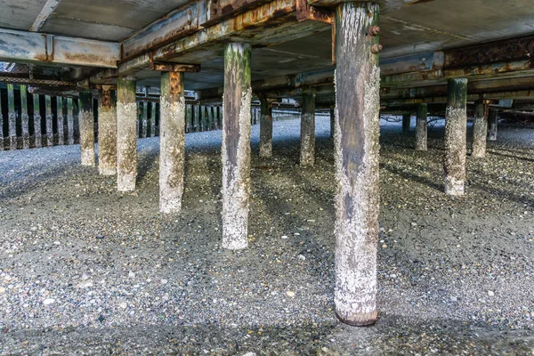 Barrnacle Lar Redondo Sahili Washington Yığılmaya Devam Ediyor — Stok fotoğraf