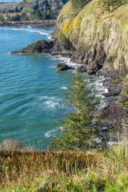 Cape Diisappointment Eyalet Parkı 'ndaki uçurumlar