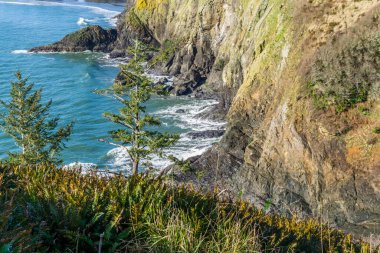 Cape Diisappointment Eyalet Parkı 'ndaki uçurumlar
