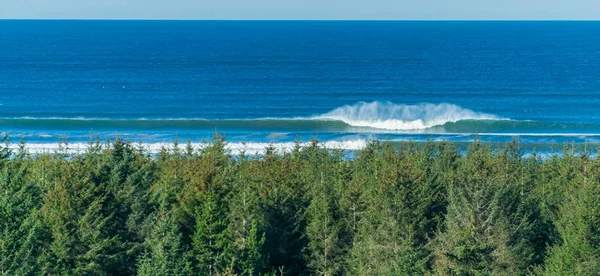 Deniz Aşırı Rüzgarlar Long Beach Washington Gölgeli Dalgalar Yaratıyor — Stok fotoğraf