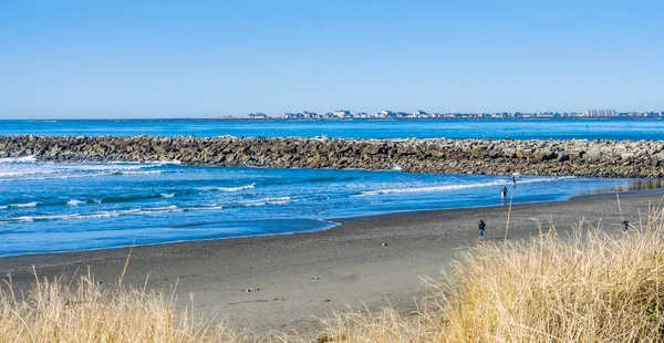 Una Vista Del Muelle Roca Westport Washington —  Fotos de Stock