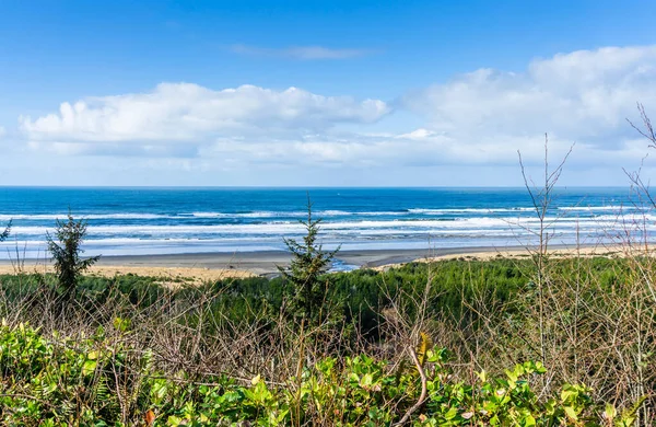 Long Beach, Washington 'da çekilen bir Inadscape fotoğrafı..