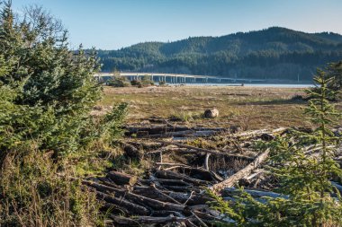 Washington 'daki Naselle Nehri Köprüsü manzarası.