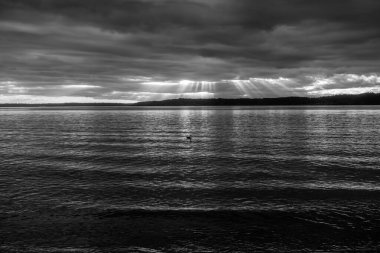 Işık ışınları Puget Sound 'un üzerindeki kara bulutların arasından aşağı iniyor..