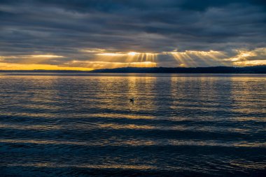 Işık ışınları Puget Sound 'un üzerindeki kara bulutların arasından aşağı iniyor..