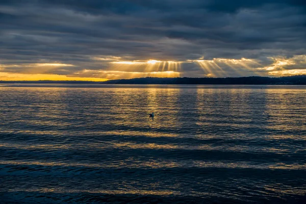 Sinar Cahaya Turun Melalui Awan Gelap Atas Puget Sound — Stok Foto