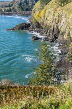 Cape Diisappointment Eyalet Parkı 'ndaki uçurumlar