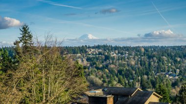 Mavili bir manzara ve Rainier Dağı..