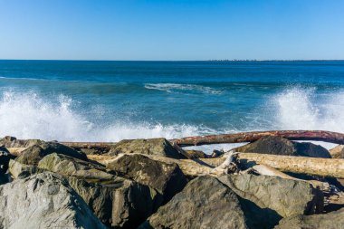 Dalgalar Westport, Washington 'da dalgalanır..