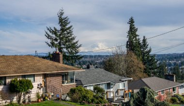 Des Moines, Washington 'dan Rainier Dağı manzarası.