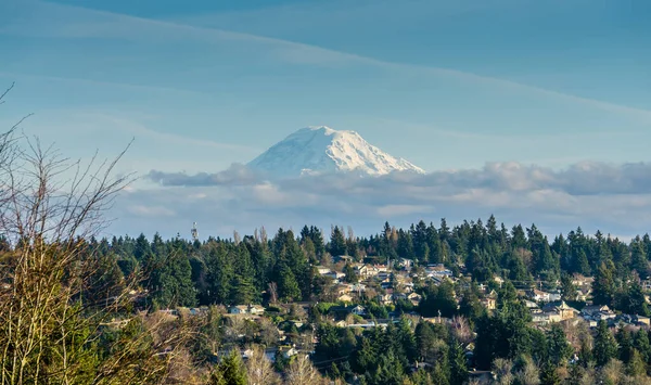 Uma Paisagem Azul Monte Rainier — Fotografia de Stock