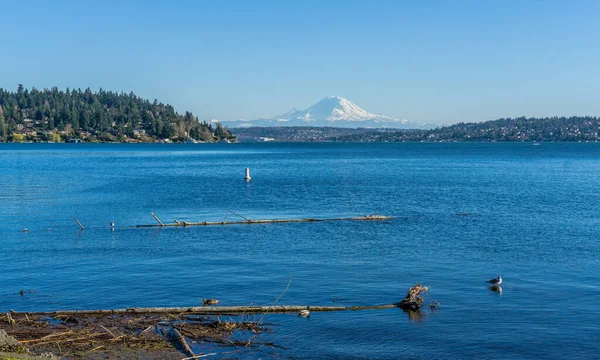 Utsikt Över Mount Rainier Över Lake Washington Nära Seattle Bild — Stockfoto