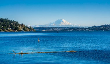 Seattle yakınlarındaki Washington Gölü boyunca Rainier Dağı manzarası. Fotoğraf Seward Park 'tan..