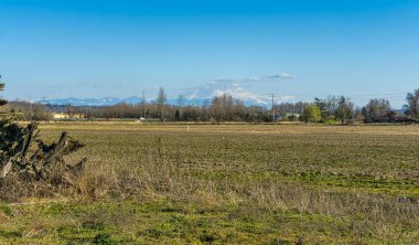 Aubrun, Washington 'da bir tarla ve dağ.
