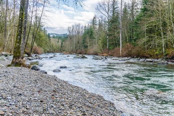 The Green River flows past trees at Kanaskat-Palmer State Park in Washington State.