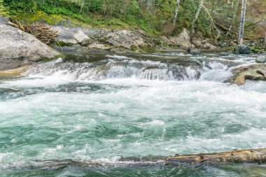Washington 'da Green River' ın hızlı manzarası.