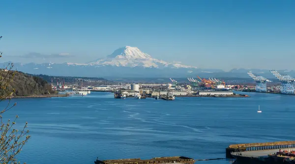Uzakta Rainier Dağı Ile Tacoma Limanı Manzarası — Stok fotoğraf