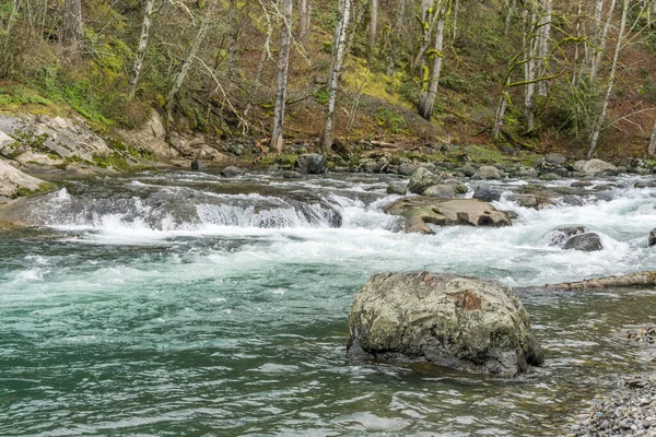 Πράσινος Ποταμός Ρέει Πέρα Από Δέντρα Στο Κρατικό Πάρκο Kanaskat — Φωτογραφία Αρχείου