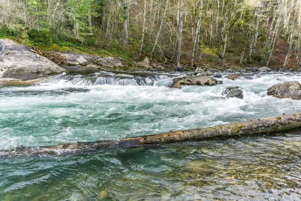 Una Vista Rápida Del Río Verde Estado Washington — Foto de Stock