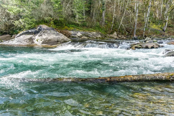 Una Vista Rápida Del Río Verde Estado Washington — Foto de Stock