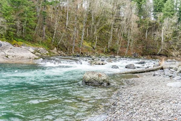 Río Green Fluye Más Allá Los Árboles Parque Estatal Kanaskat —  Fotos de Stock
