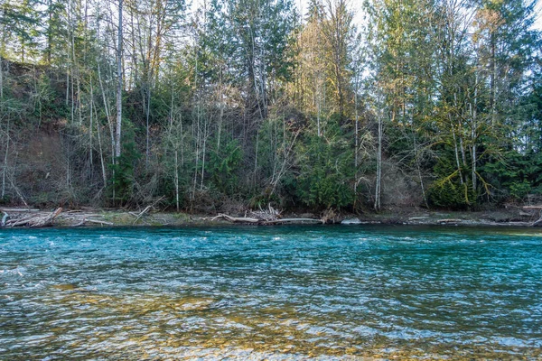 Una Vista Del Río Verde Estado Washington Los Árboles —  Fotos de Stock