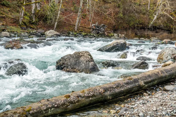 Acqua Scorre Sulle Rocce Creare Acque Bianche Nel Green River — Foto Stock