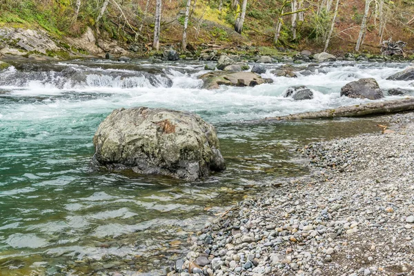 The Green River flows past trees at Kanaskat-Palmer State Park in Washington State.