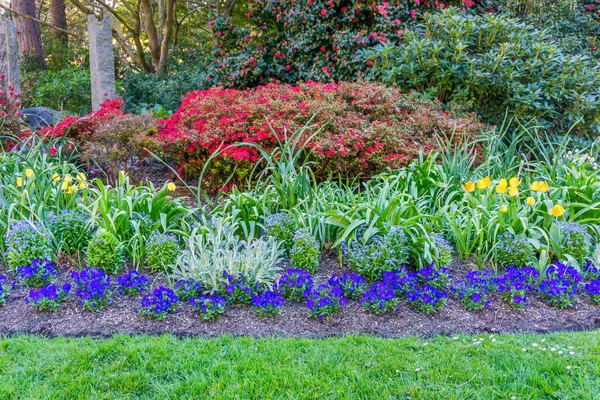 Seattle, Washington 'daki Seward Park' ta bir çiçek bahçesi..
