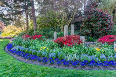 Seattle, Washington 'daki Seward Park' ta bir çiçek bahçesi..