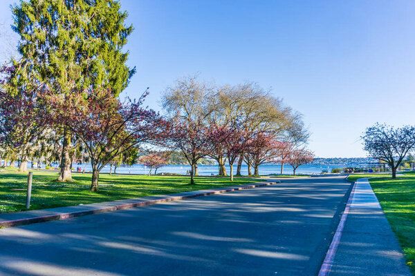 A road at Seward Park in Seattle, Washington. It is springtime.