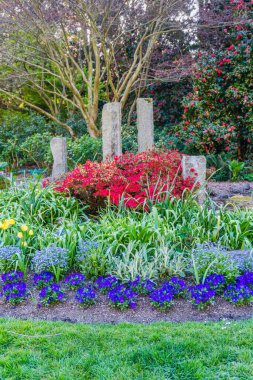 Seattle, Washington 'daki Seward Park' ta bir çiçek bahçesi..