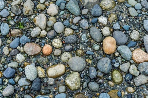 Kıyı Şeridindeki Kayalardan Bir Kare — Stok fotoğraf