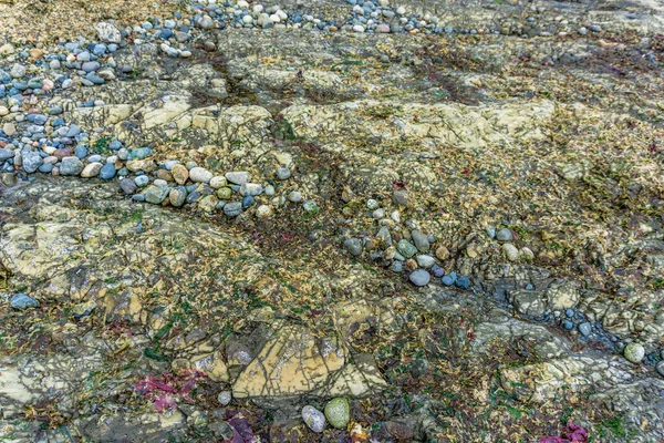 Abstraktní Záběr Skalnatého Mořského Dna Při Odlivu — Stock fotografie