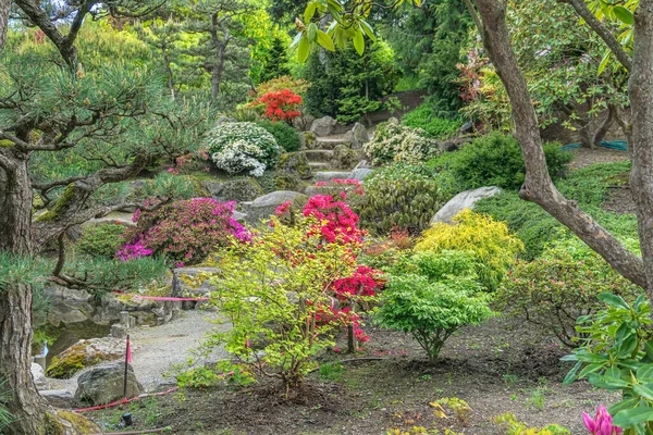 Jardín Pintoresco Seatac Washingotn Primavera — Foto de Stock