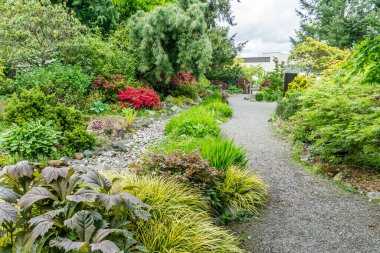 Seatac, Washingon 'da kurak bir dere yatağının yanında bahar çiçekleri açar..