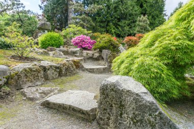 Kayalar Seatac, Washington 'daki bu bahçe yolunda..