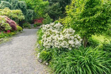 Seatac, Washington 'da manzaralı bir bahçe yolu..