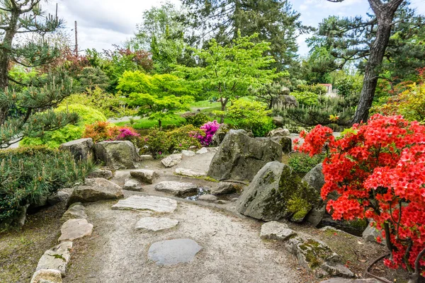 Piante Fiori Giardino Panoramico Seatac Washington — Foto Stock